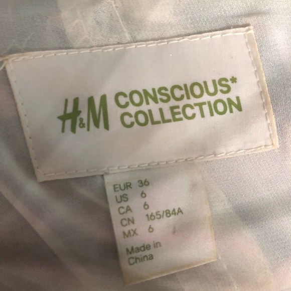 H&M Ruffle Maxi Dress - Picture 3 of 3